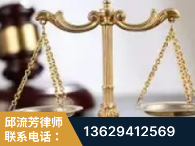 海口-委托诉讼代理人出庭